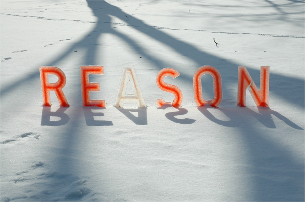 Reason - An ode to Joyce Wieland's quilt "Reason over Passion", the first thought provoking artwork I experienced at the National Gallery in the early 1970s.