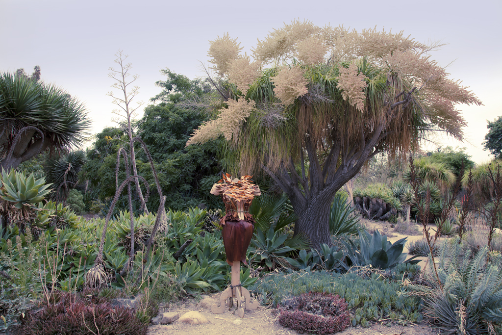 The Dracaena Dress installed in the desert section. To the far left is the Dracaena Draco tree from which the leaves were gathered.