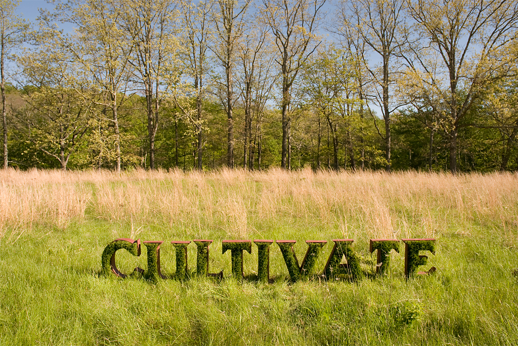 Cultivate - To develop and improve the land. We also cultivate ideas, airs, bad habits and friends.