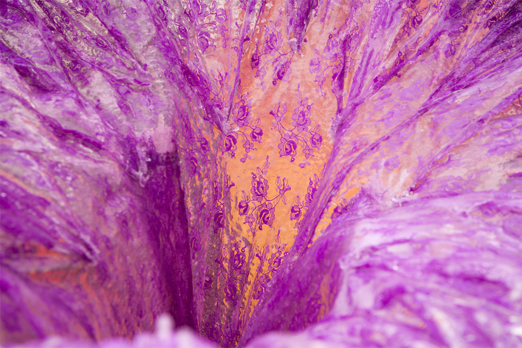 Detail of frozen lace resembling trumpet-like flowers.